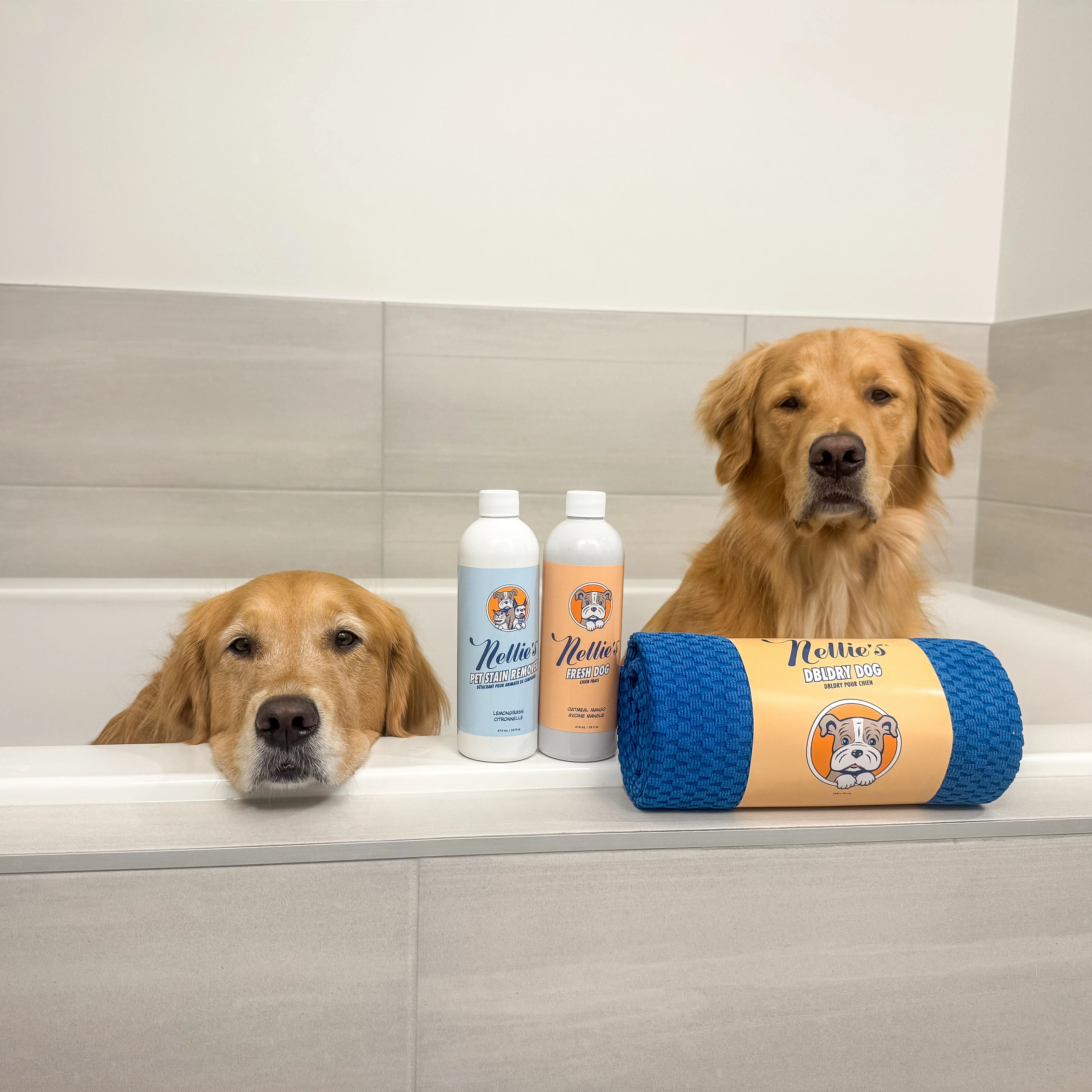 Fresh Dog - Image 4