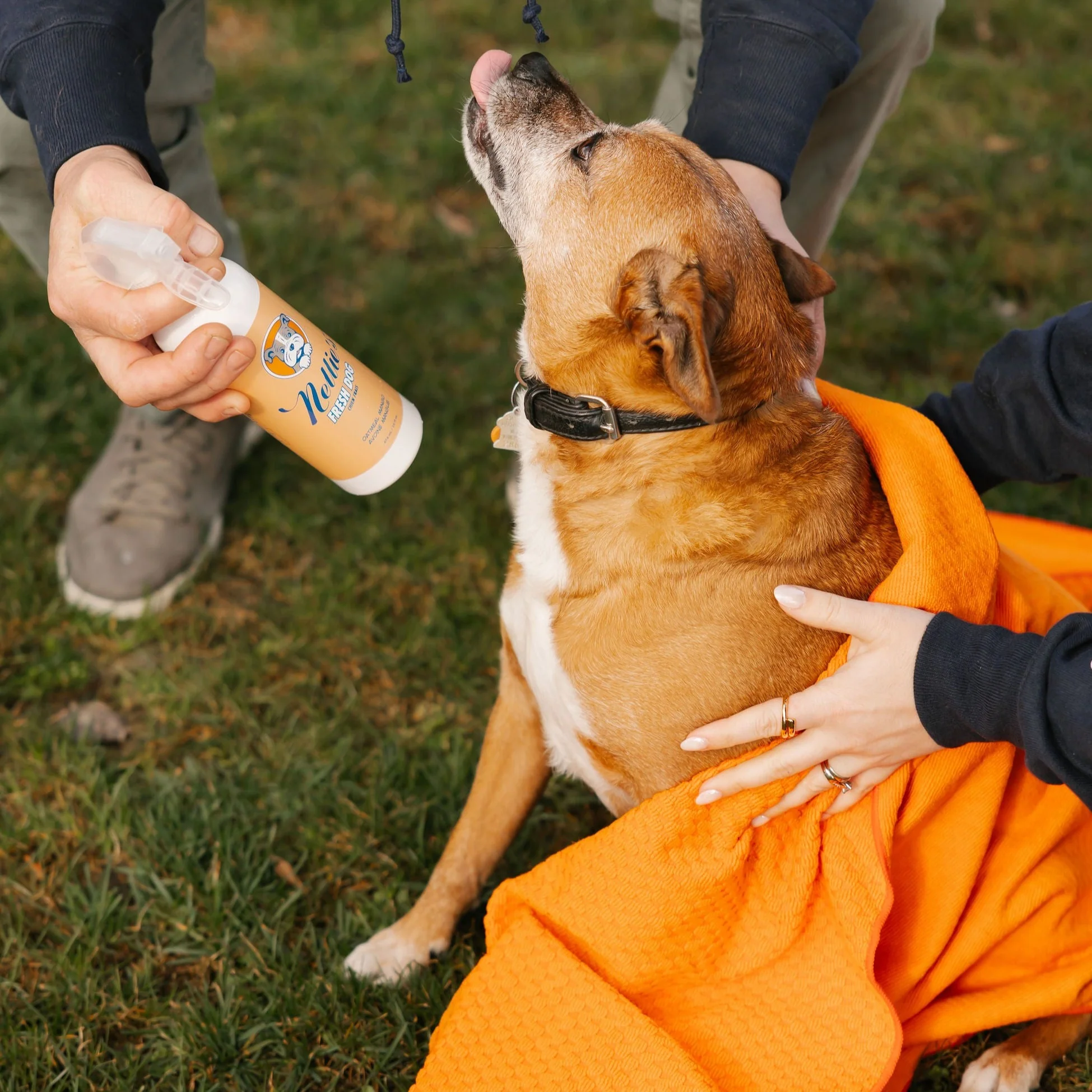 Fresh Dog - Image 6