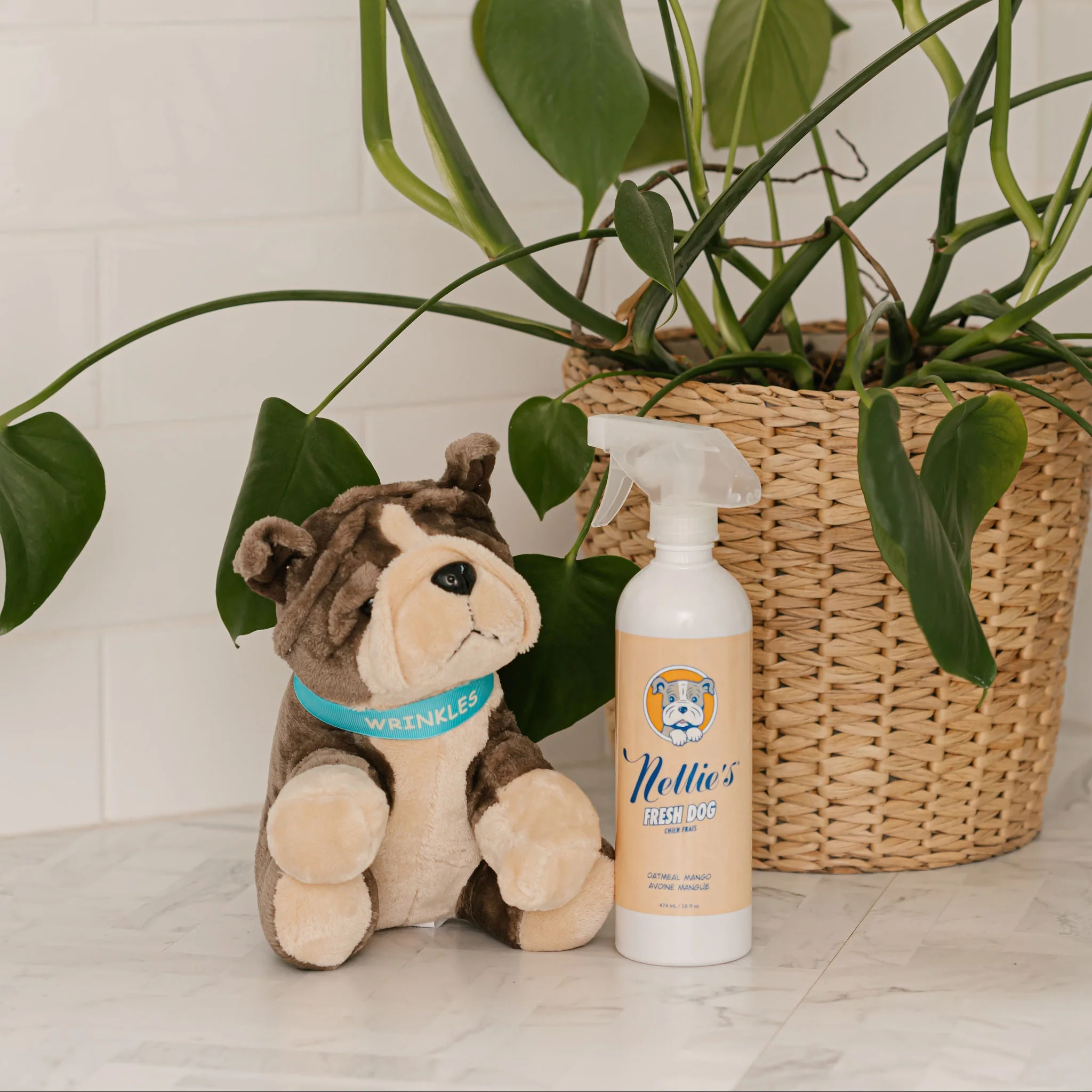 Fresh Dog - Image 8