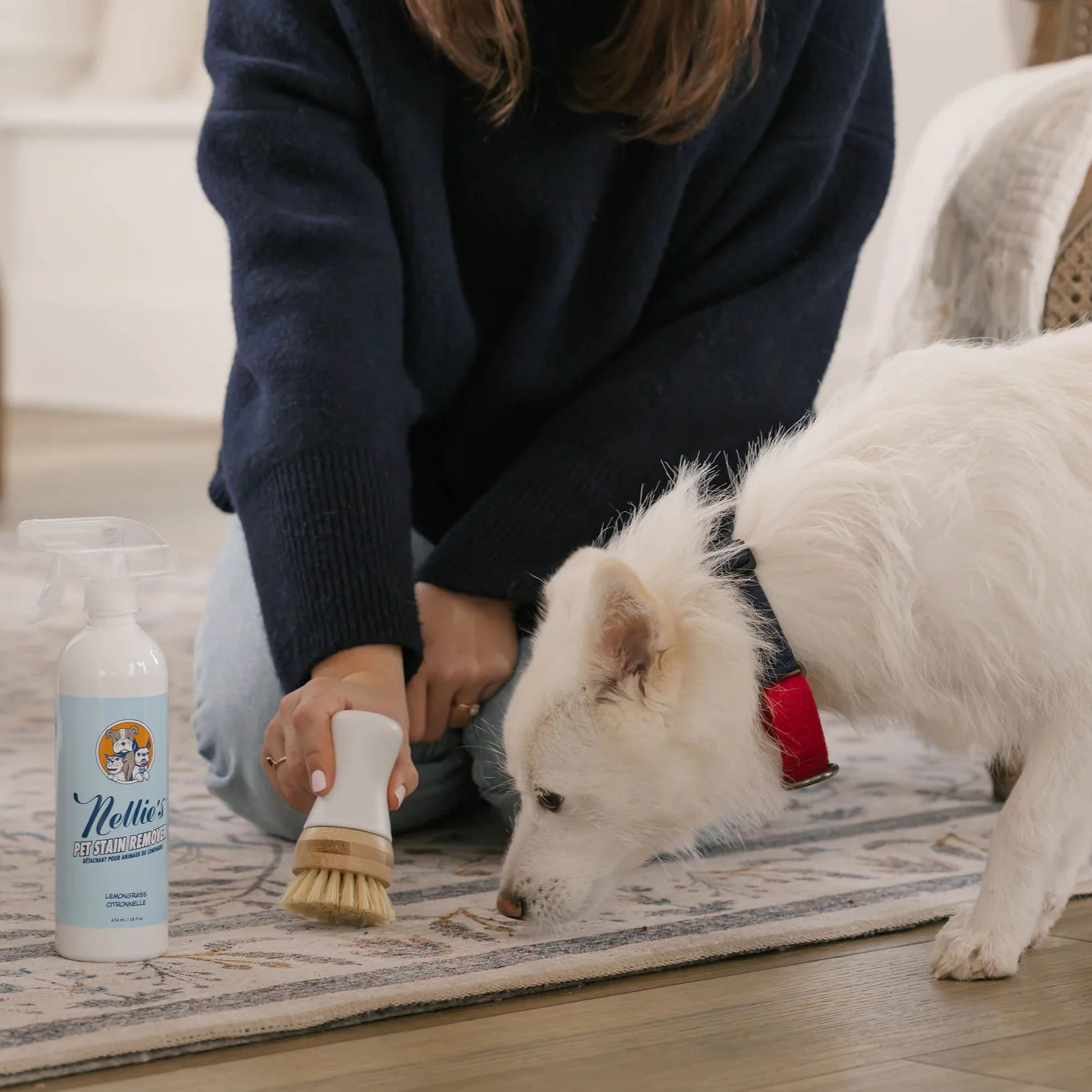 Fresh Pet Bundle - Image 6