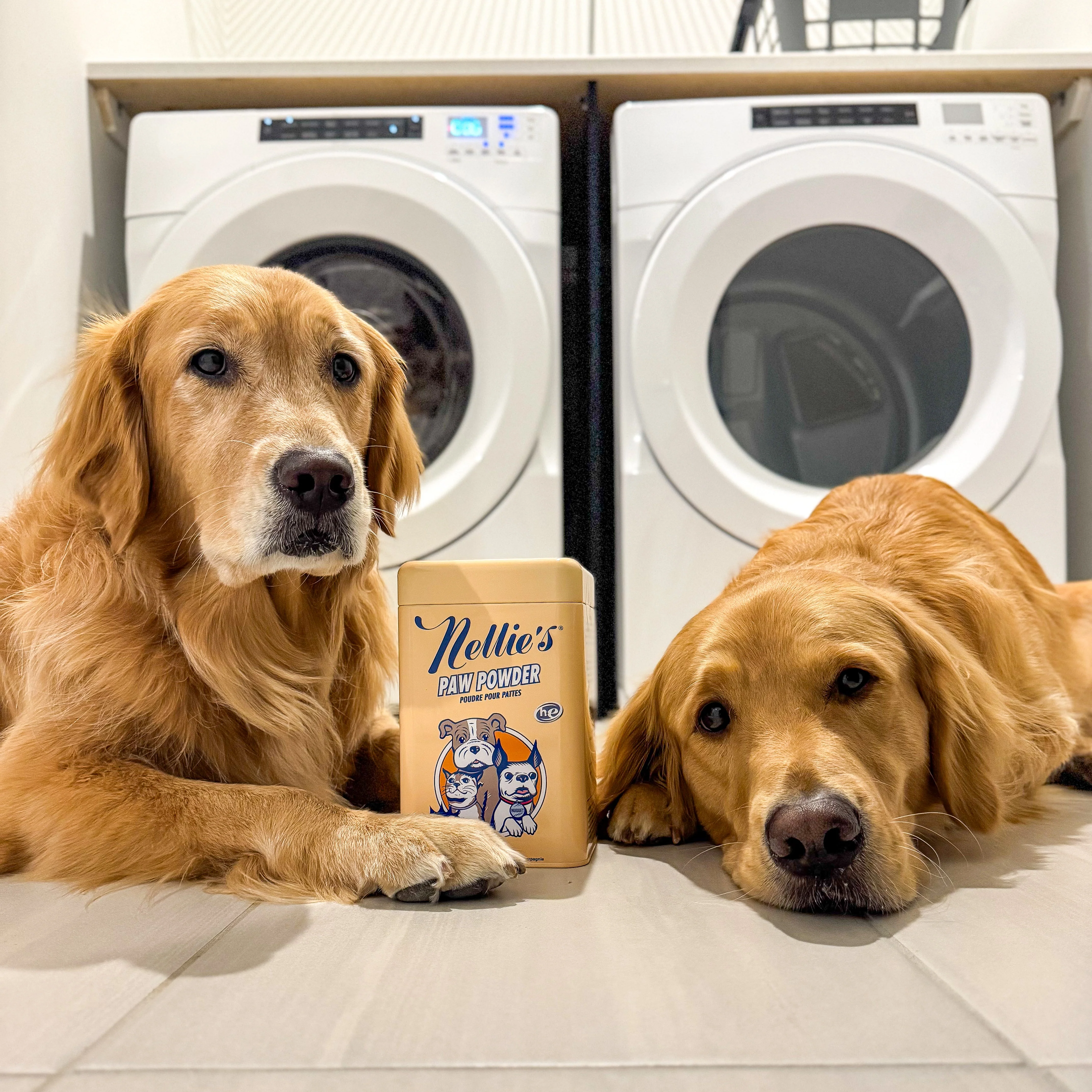 PAW Powder - Image 5