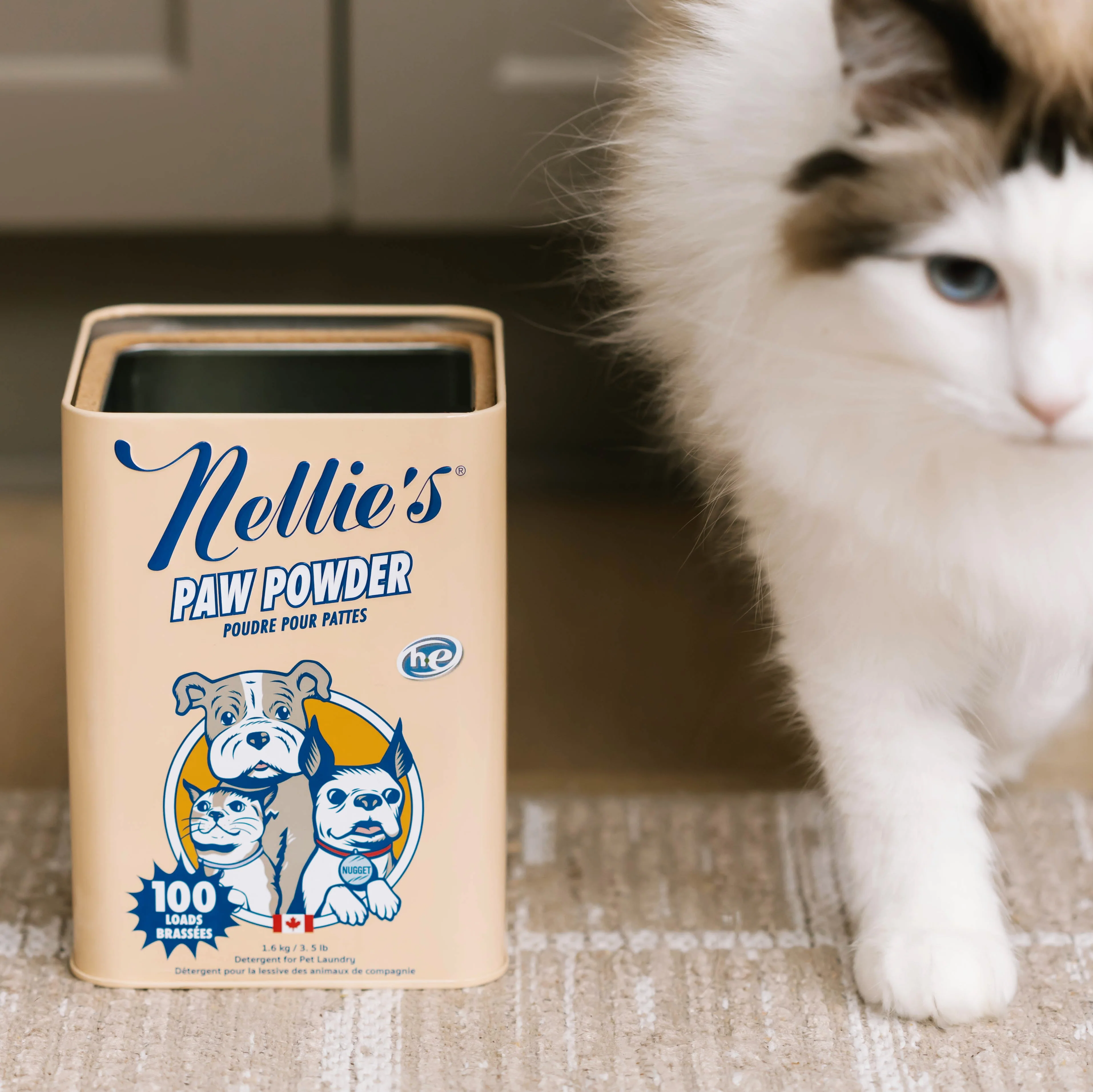 PAW Powder - Image 7