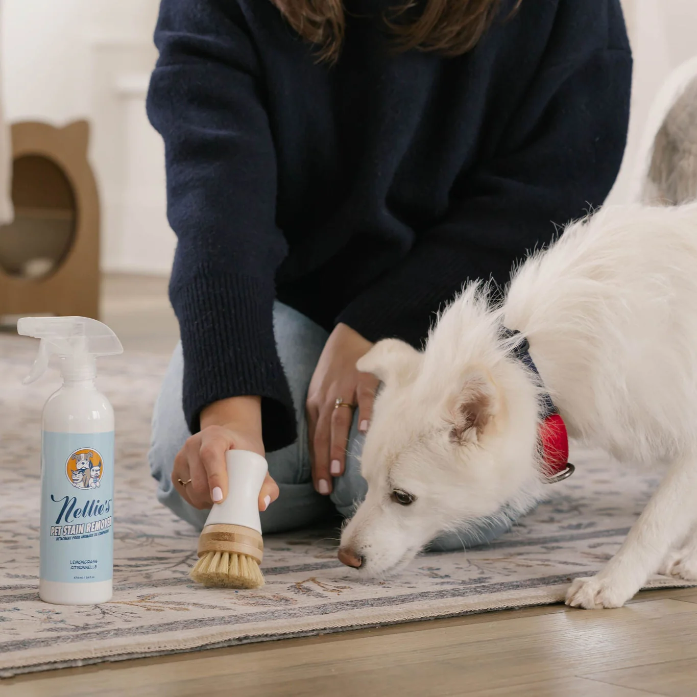 Pet Stain and Odour Remover - Image 4