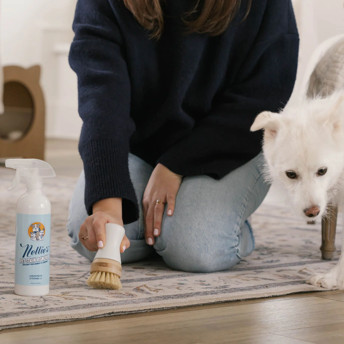 Pet Stain and Odour Remover - Image 6