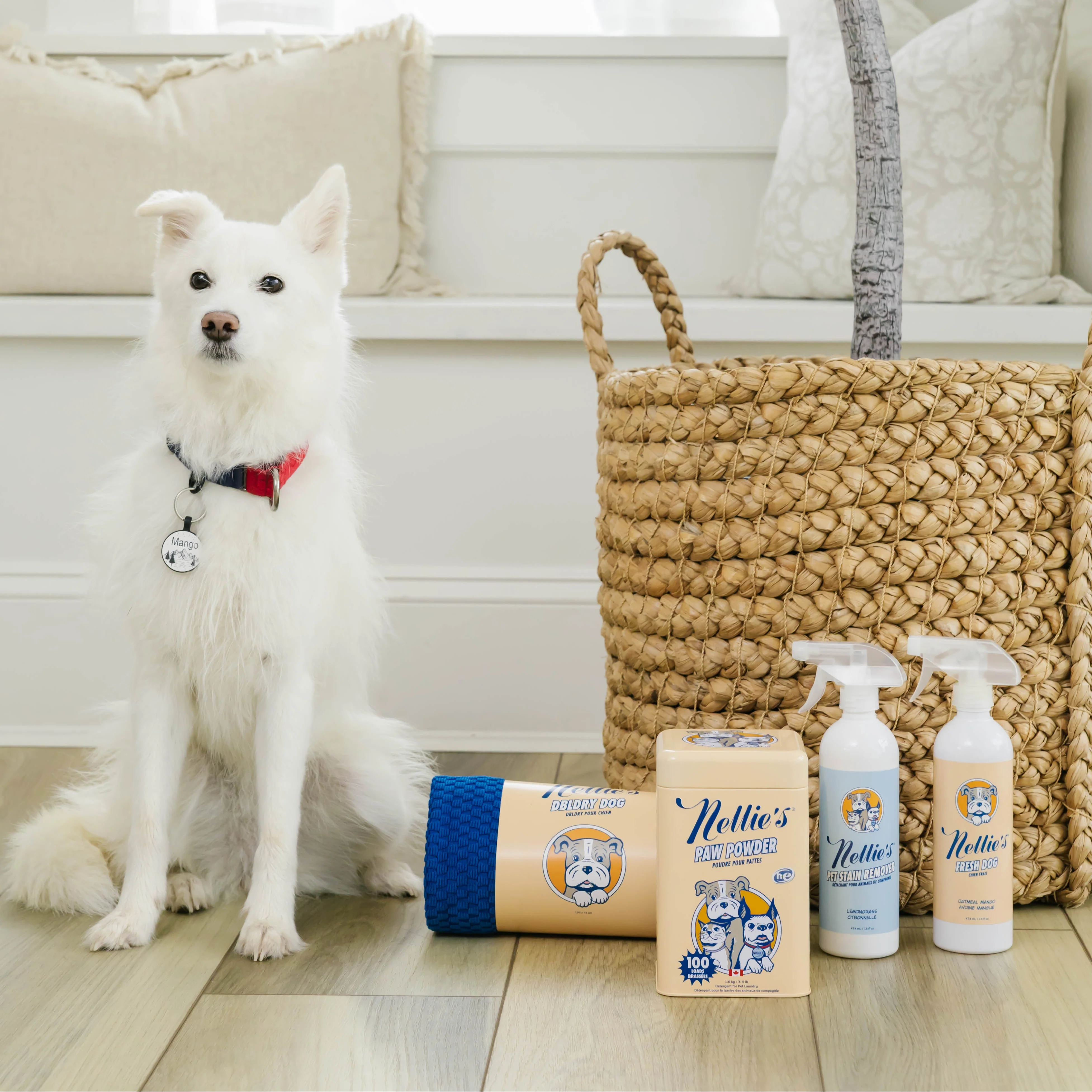 Pet Stain and Odour Remover - Image 7