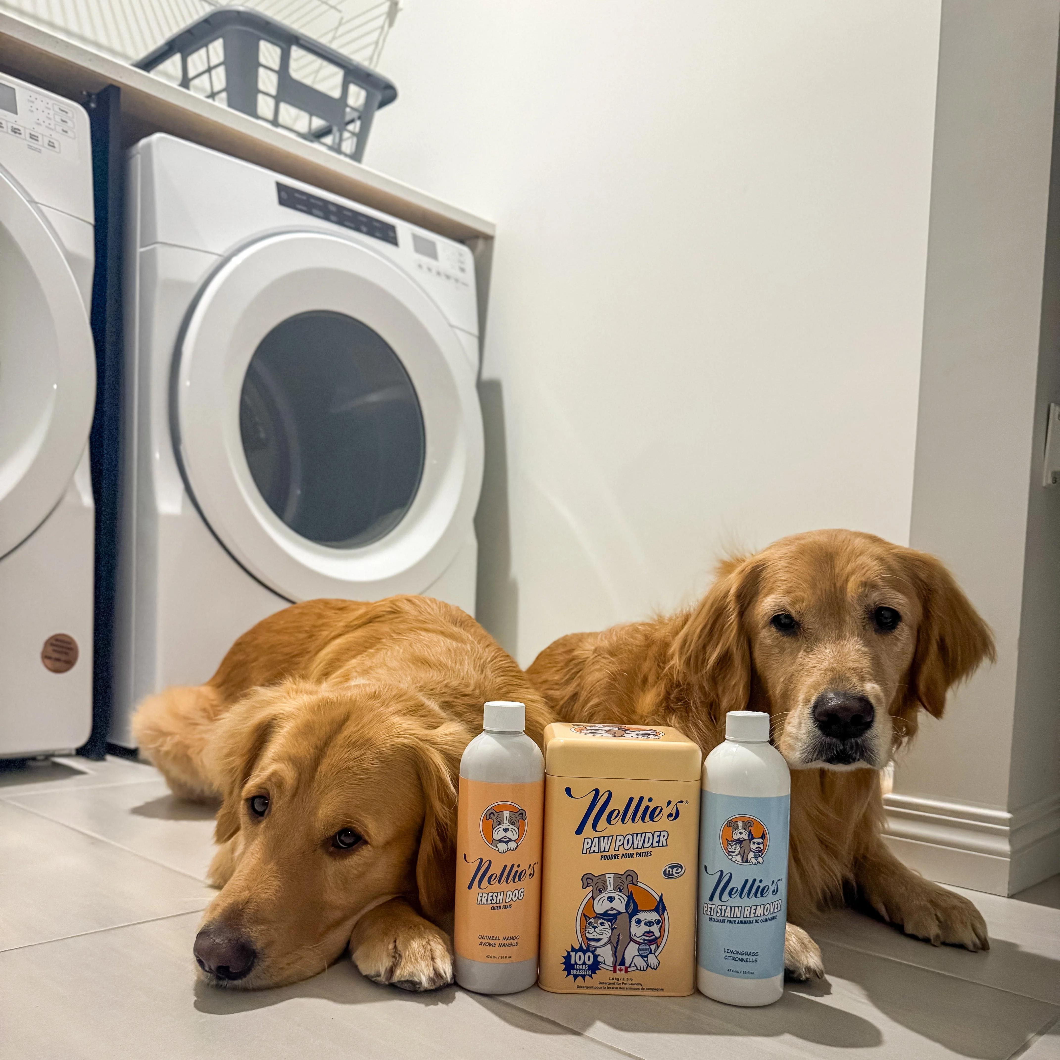 Pet Stain and Odour Remover - Image 8